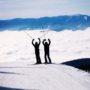 Meet your Posher, Ella